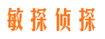 苍山侦探调查公司